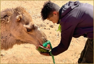 private 5 days tour from Fes across Morocco
