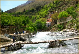 private Marrakech day trip to Ourika valley