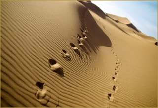 private 4 Days tour from Agadir to Desert - South Morocco travel Real Magic